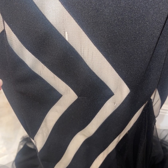 Terani Couture Dress - Picture 6 of 6